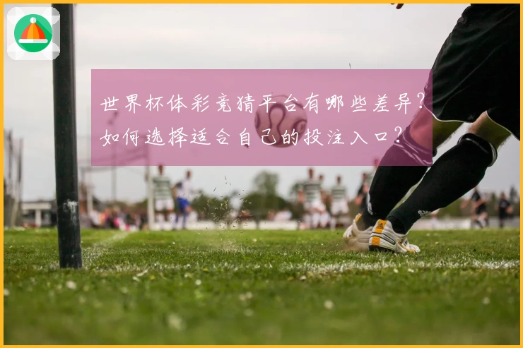 世界杯体彩竞猜平台有哪些差异？如何选择适合自己的投注入口？