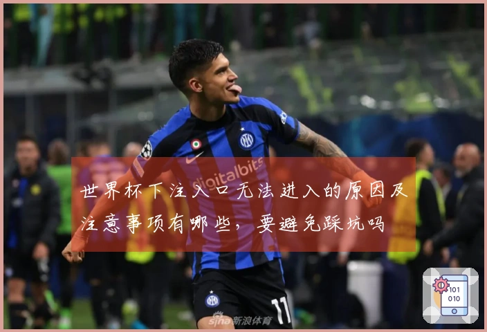 世界杯下注入口无法进入的原因及注意事项有哪些，要避免踩坑吗